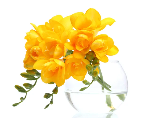 Beautiful yellow freesias in vase isolated on white — Stock Photo, Image