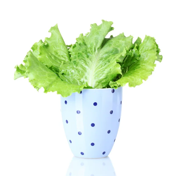 Salat in einer lila Tasse mit schwarzen Tupfen isoliert auf weiß — Stockfoto
