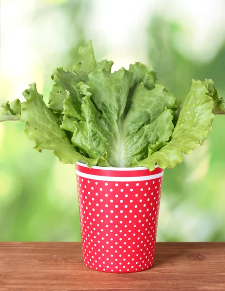 stock image Salad in a red cup with white polka dots on green background