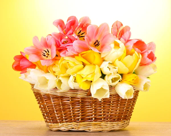 Красиві тюльпани в кошику на дерев'яному столі на жовтому тлі — стокове фото