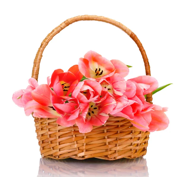 Hermosos tulipanes rosados en cesta aislada en blanco — Foto de Stock