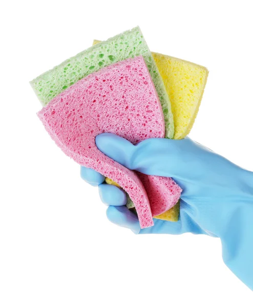 Gloved hand with colorful sponges on white — Stock Photo, Image