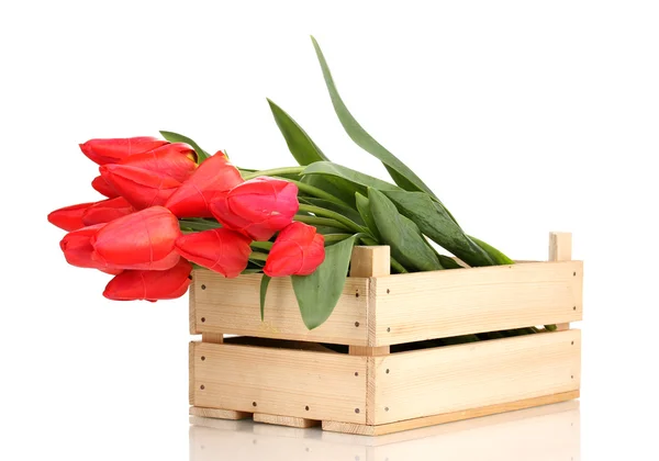 stock image Beautiful tulips in crate isolated on white