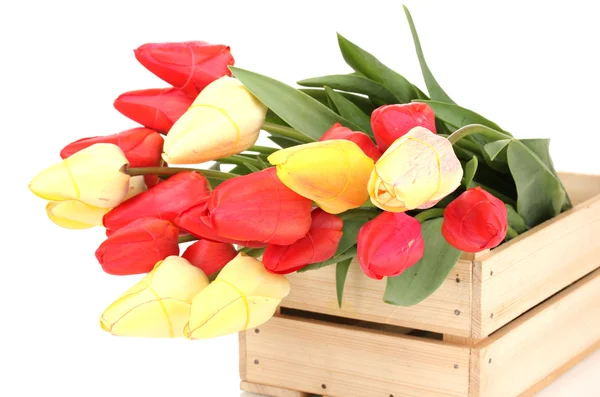 Schöne Tulpen in Kiste isoliert auf weiß — Stockfoto