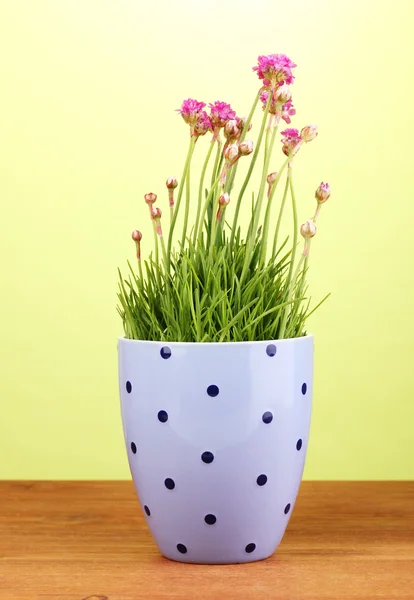 Fiori rosa in vaso su tavolo di legno su sfondo verde — Foto Stock