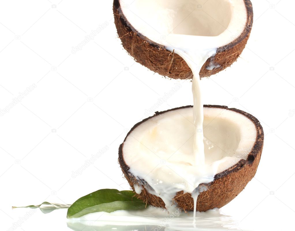 belchonock
