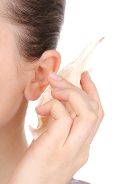 Human ear and shell close-up isolated on white clipart