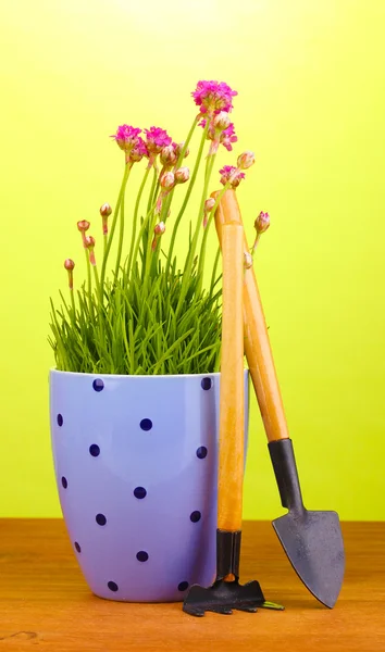 Rózsaszín virágok a bankot a fából készült asztal zöld háttér eszközök — Stock Fotó