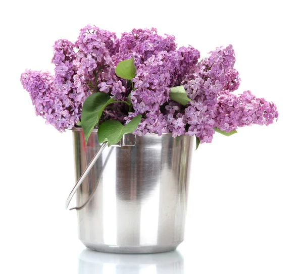 Hermosas flores lila en cubo de metal aislado en blanco —  Fotos de Stock