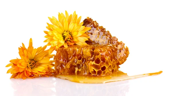 Favos de mel saborosos e flores isoladas em branco — Fotografia de Stock