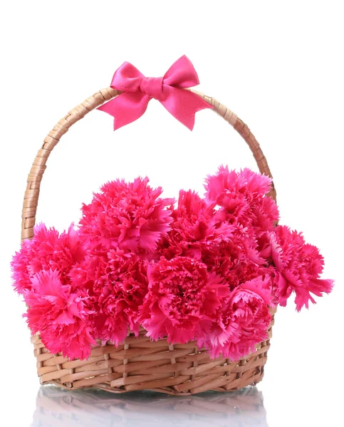 Beautiful pink carnations in basket isolated on white — Stock Photo, Image