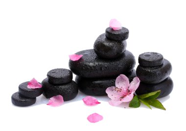 Spa taş düşer ve üzerinde beyaz izole pembe sakura çiçek