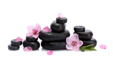 Spa taş düşer ve üzerinde beyaz izole pembe sakura çiçek