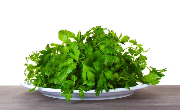 Parsley in a white plate on wooden — Stock Photo, Image