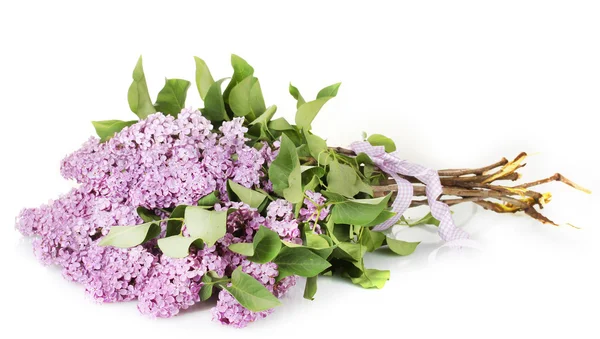 Beautiful lilac flowers isolated on white — Stock Photo, Image