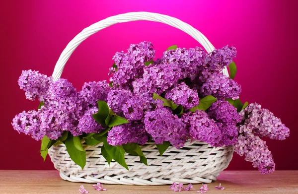 Bellissimi fiori lilla nel cestino su sfondo rosso — Foto Stock
