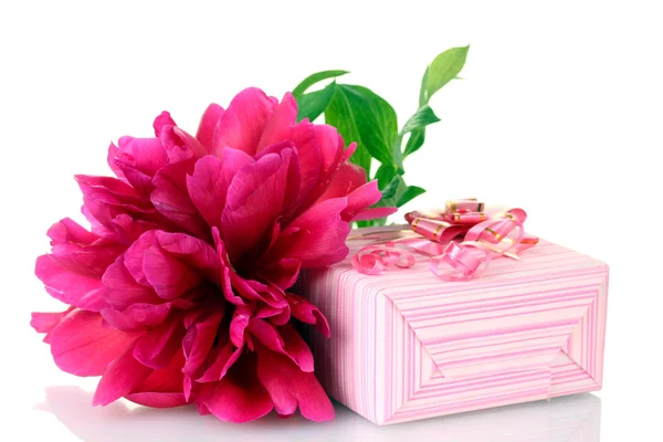 Beau cadeau rose et fleur de pivoine isolé sur blanc — Photo