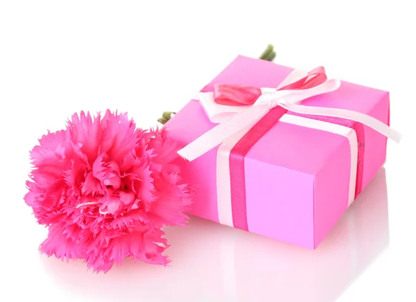 Beautirul ροζ δώρο και παιωνία λουλούδι που απομονώνονται σε λευκό — Φωτογραφία Αρχείου