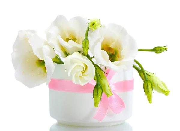 Belas flores de primavera em vaso isolado em branco — Fotografia de Stock