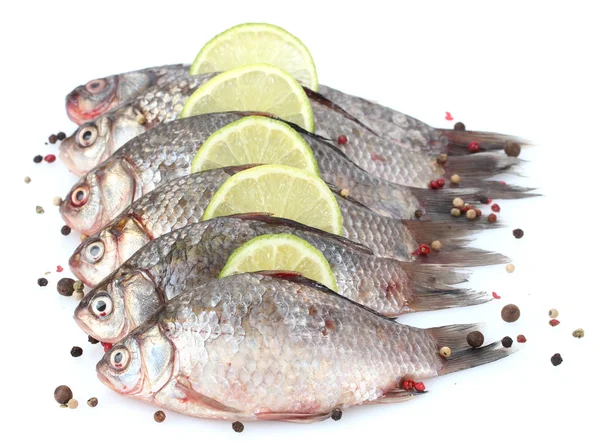 Kireç ve baharat üzerine beyaz izole taze balıklarla — Stok fotoğraf