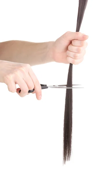 Cabelo castanho brilhante em mãos de cabeleireiro isolado em branco — Fotografia de Stock