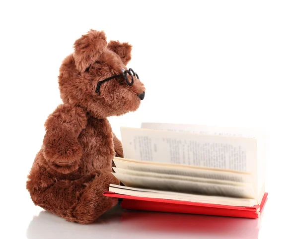 Oso juguete libro de lectura aislado en blanco — Foto de Stock