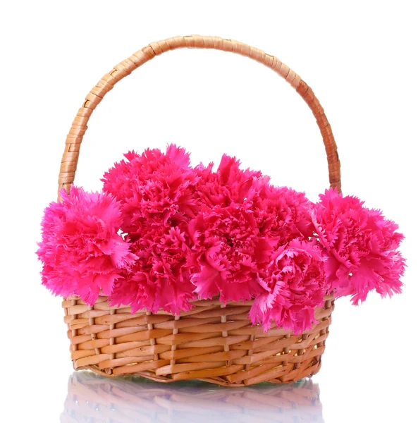 Stock image Beautiful pink carnations in basket isolated on white