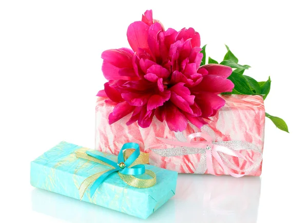 Beautirul rózsaszín ajándék és a pünkösdi rózsa virág elszigetelt fehér — Stock Fotó