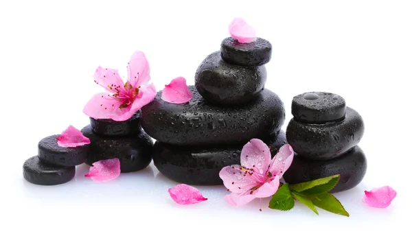 Piedras de spa con gotas y flores de sakura rosa aisladas en blanco —  Fotos de Stock
