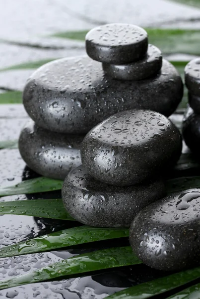 Spa stones with drops on green palm leaf on grey background — Stock Photo, Image