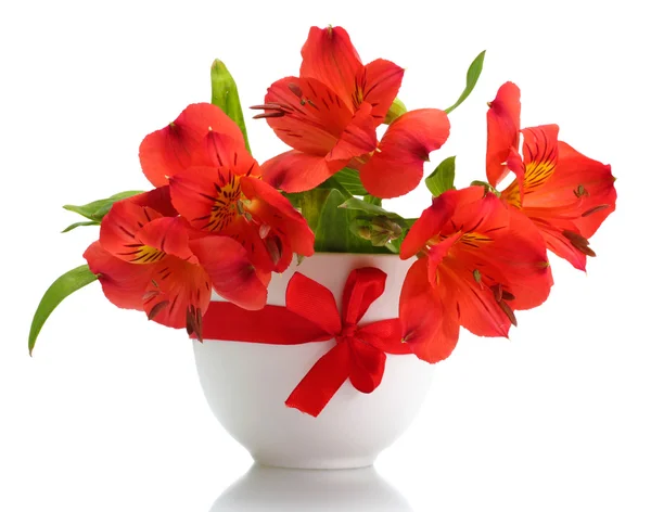 Alstroemeria flores rojas en jarrón aislado sobre blanco — Foto de Stock