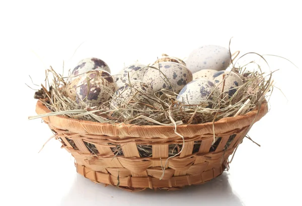 Ovos de codorna em ninho isolados em branco — Fotografia de Stock