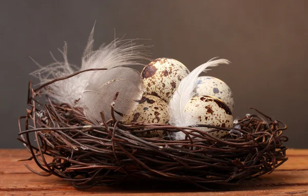 Przepiórcze jaja w gnieździe na drewnianym stole na brązowym tle — Zdjęcie stockowe