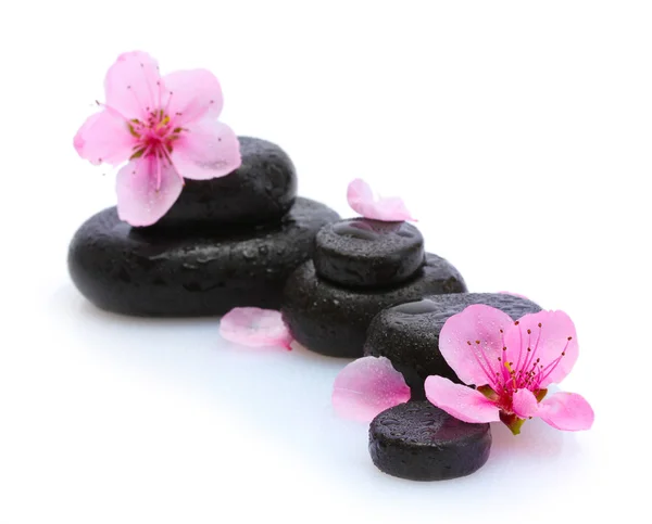 Pietre termali con gocce e fiori di sakura rosa isolati su bianco — Foto Stock