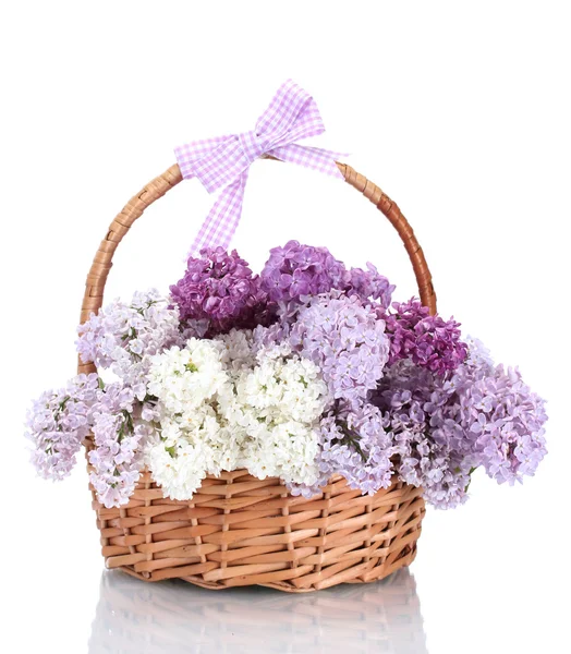 Beautiful lilac flowers in basket isolated on white — Stock Photo, Image