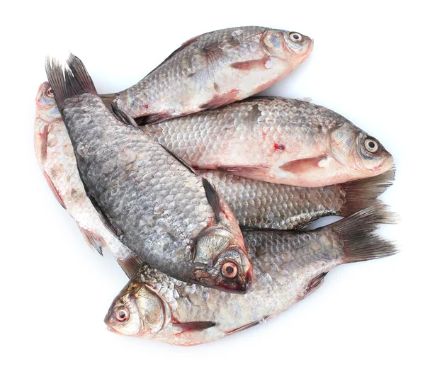 Peixes frescos isolados a branco — Fotografia de Stock