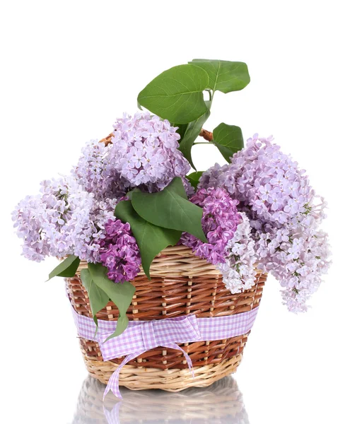 Beautiful lilac flowers in basket isolated on white Royalty Free Stock Photos