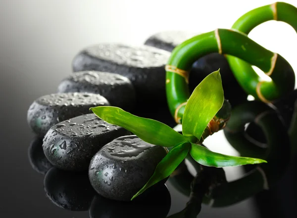 Spa stones with drops and green bamboo on grey background — Stock Photo, Image