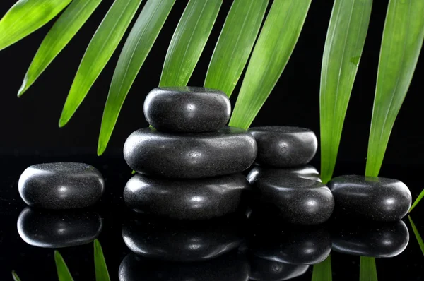 Piedras de spa y hoja de palma verde sobre fondo negro —  Fotos de Stock