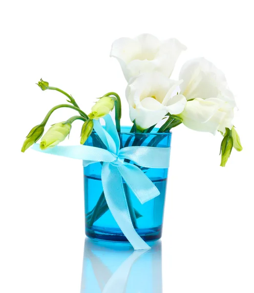 Bellissimi fiori primaverili in vaso blu isolato su bianco — Foto Stock