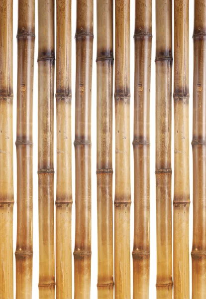 Trockene Bambusstäbe isoliert auf weiß — Stockfoto