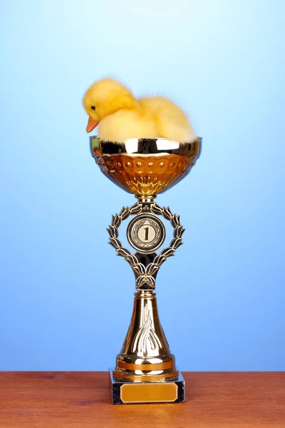Eendje en kampioen cup op houten tafel op blauwe achtergrond — Stockfoto