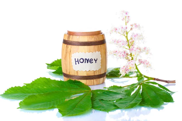 Een vat van honing en kastanje bloemen geïsoleerd op witte achtergrond — Stockfoto