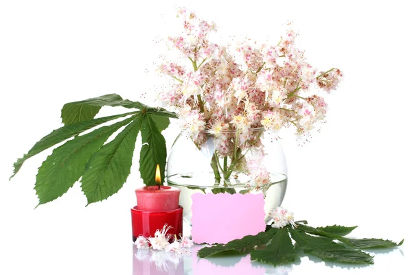 栗の花、蝋燭および白い背景で隔離されたメモの花瓶の組成 — ストック写真