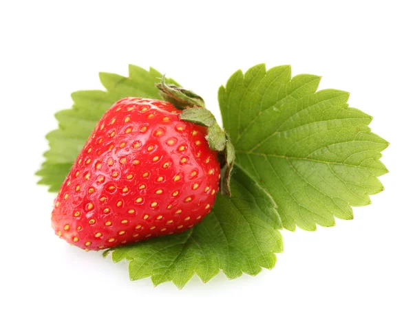 Sweet ripe strawberry with leaves isolated on white — Stock Photo, Image
