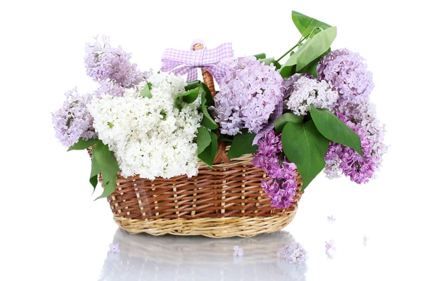 Beautiful lilac flowers in basket isolated on white Stock Image