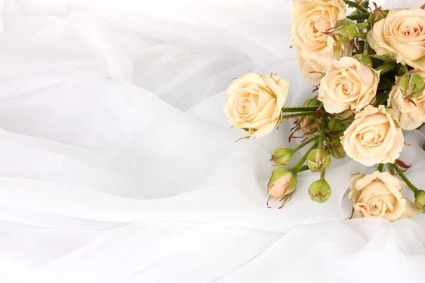 Kleine Rosen in einem weißen Tuch isoliert auf weiß — Stockfoto
