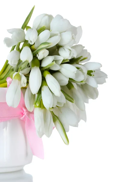 Красивий букет пролісок у вазі з бантом ізольований на білому — стокове фото