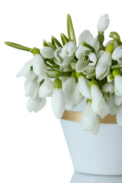 Krásnou kytici sněženky v váza izolovaných na bílém — Stock fotografie