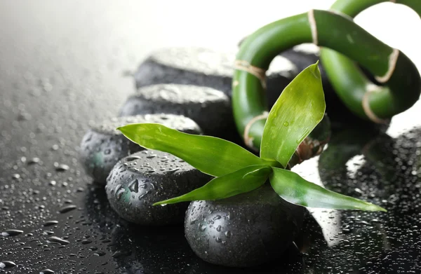 stock image Spa stones with drops and green bamboo on grey background